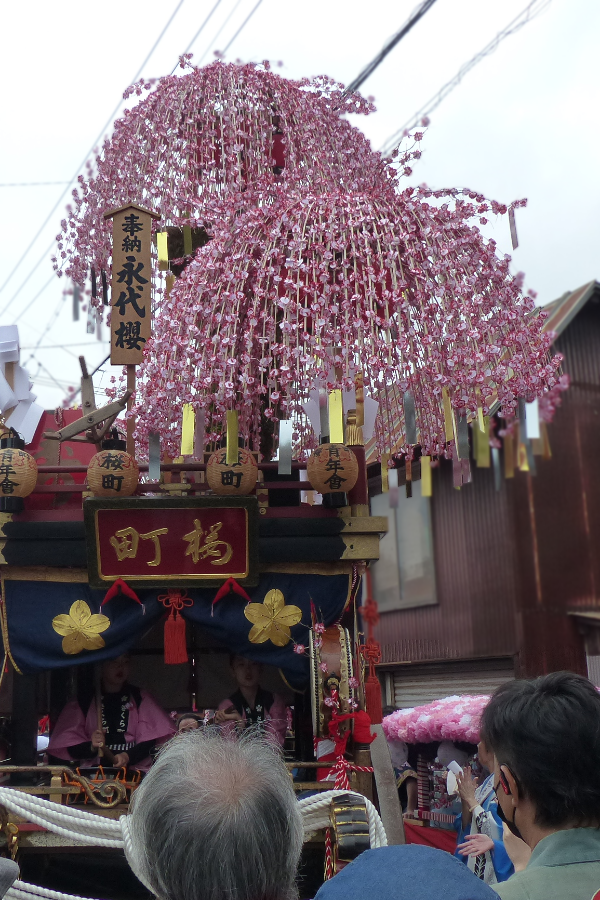 五番山車　桜町区　永代櫻（えいたいざくら）