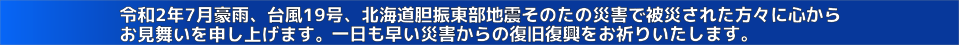 豪雨、地震、洪水その他に被災され皆様に心よりお見舞い申し上げます。